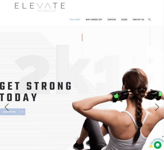 Elevate website homepage preview
