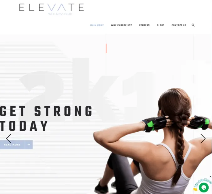 Elevate website homepage preview